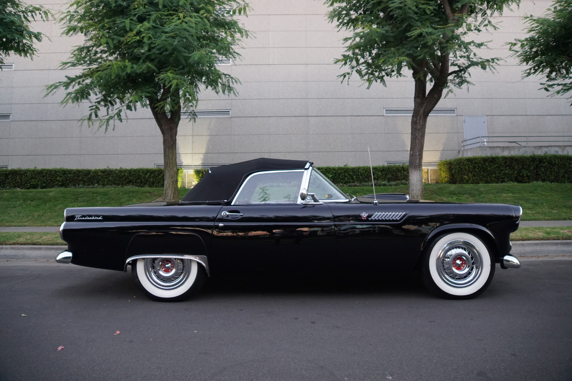1955 Ford Thunderbird - Plate 8