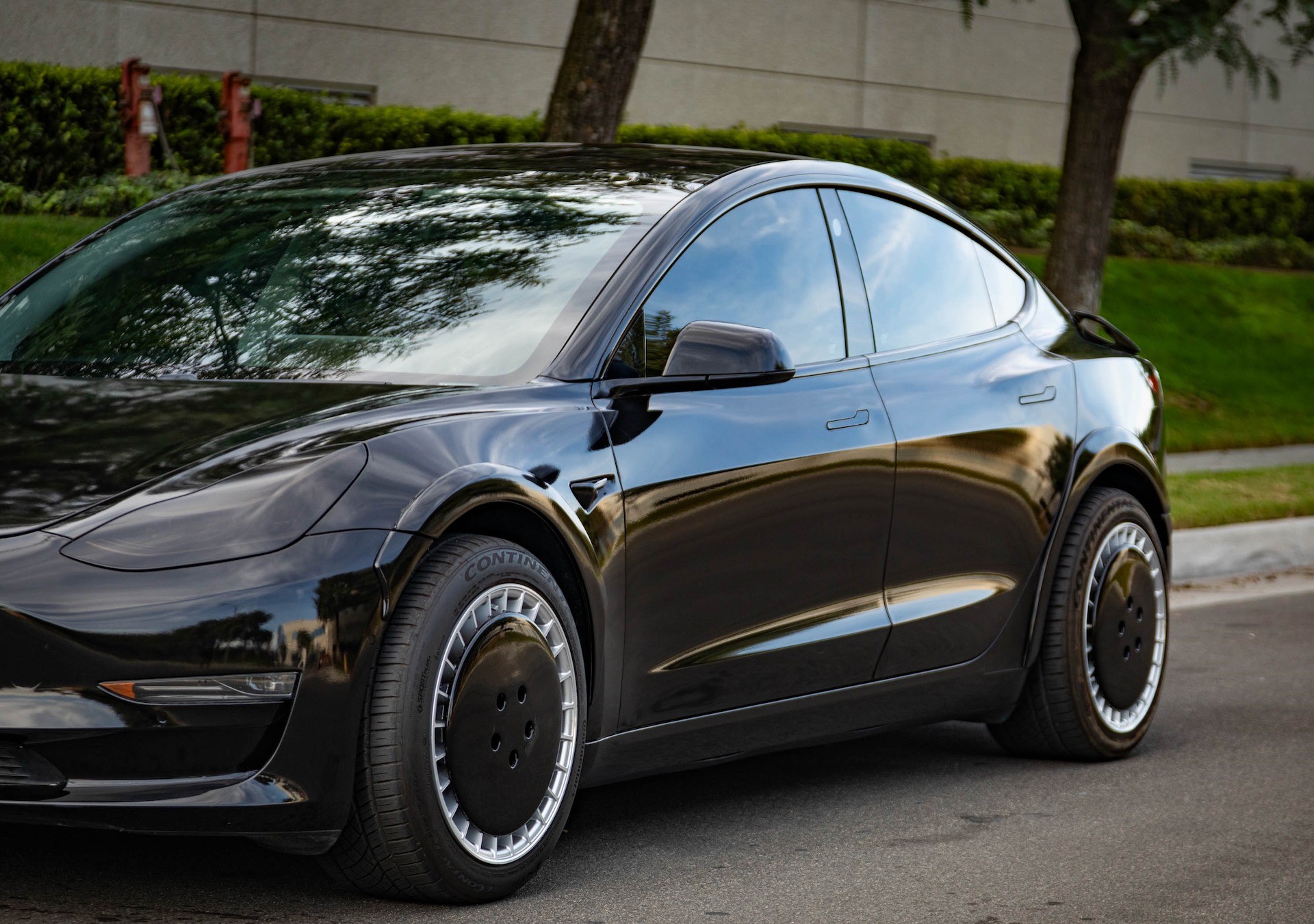 2019 Tesla Model 3 - Plate 2