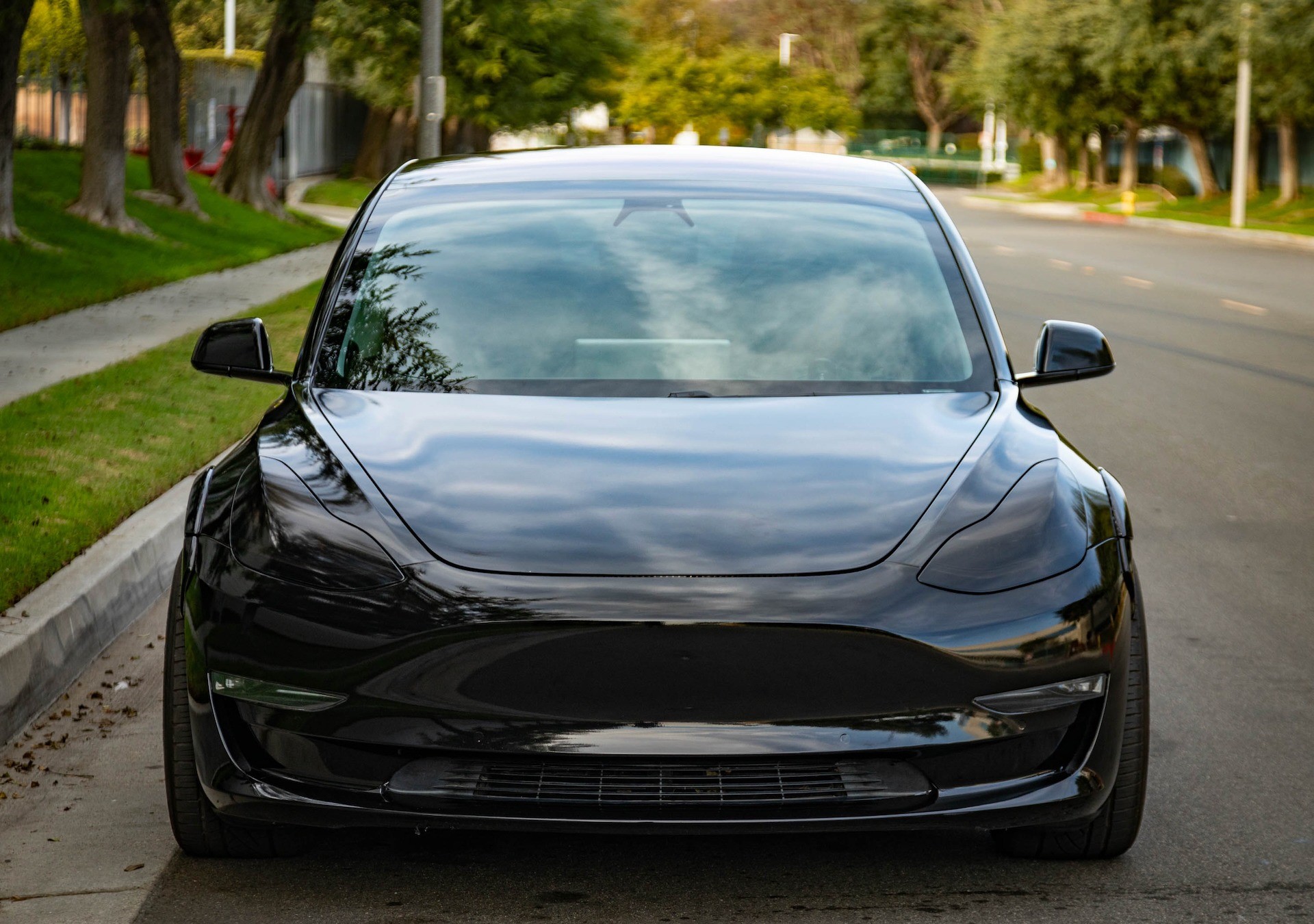 2019 Tesla Model 3 - Plate 9
